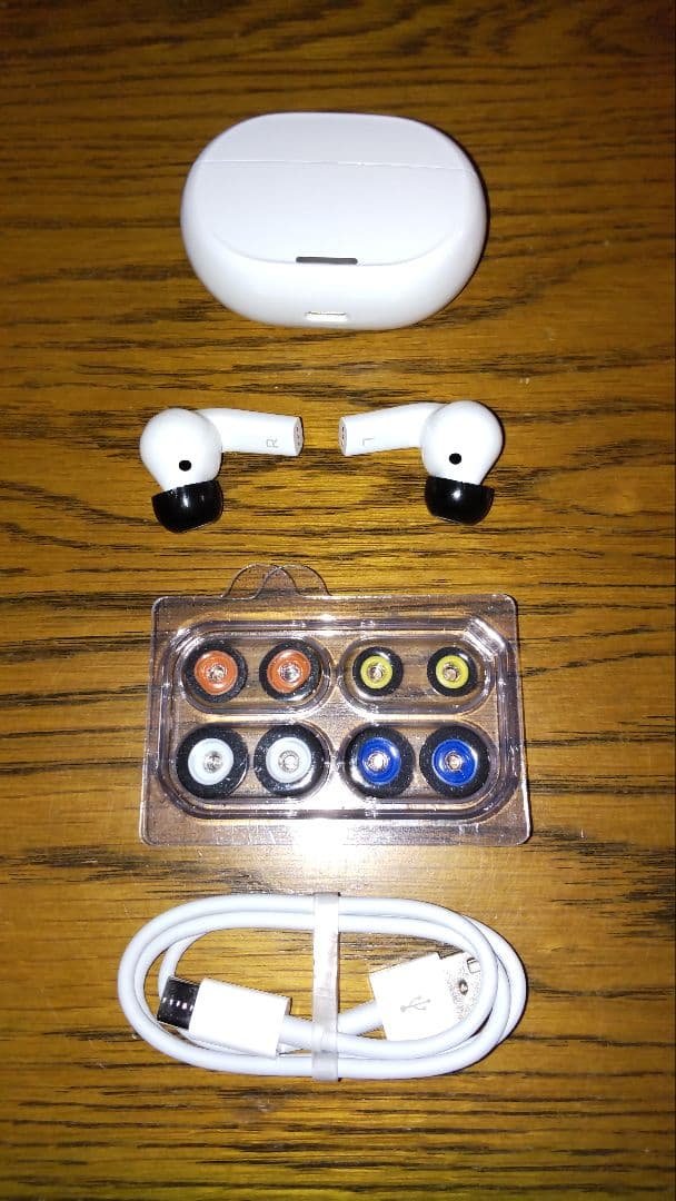 Olive SmartEar Plus ワイヤレスイヤホン集音器