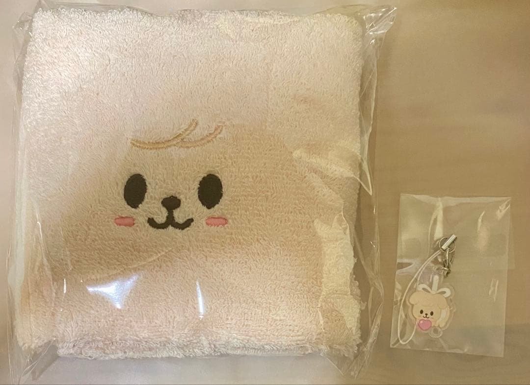 straykids ペンミ　入場特典　タオル　キーホルダー　パピーム　スンミン