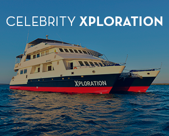 f-xploration
